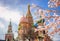 Beautiful view of St. Basil`s Cathedral. The bloom of Sakura in Moscow. spring season. Russia, the Kremlin Moscow spring