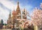 Beautiful view of St. Basil`s Cathedral. The bloom of Sakura in Moscow. spring season. Russia, the Kremlin Moscow spring