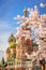 Beautiful view of St. Basil`s Cathedral. The bloom of Sakura in Moscow. spring season. Russia, the Kremlin Moscow spring