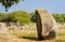 Beautiful view of the standing stones alignments, menhirs, in Carnac, Brittany, France. Megalithic landmark