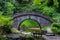 Beautiful view of a stone bridge in Koishikawa Botanical Gardens, Tokyo