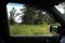 A beautiful view of the summer nature from the window of the car. Interior view of the car.