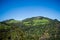 Beautiful view of tea garden and Ooty city of Tamilnadu