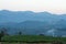 Beautiful view of tea trees and stone cabins on the hill