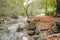 Beautiful view to the autumnal mountain path and the stream of pure mountain water alongside.