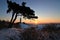 Beautiful view to the romantic winter landscape on the gorgeous German island Hiddensee by the Baltic Sea