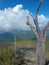 The beautiful view from the top of mount Talang, Solok, West Sumatera, Indonesia