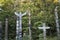 Beautiful view of the Totem Pole in Stanley Park in Vancouver