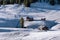 Beautiful view of traditional wooden mountain chalets on scenic Alpe di Siusi with famous Langkofel mountain peaks in the