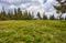 Beautiful view of the tranquil alpine landscape with green meadows, trees, dark low clouds on the mountains in the background on a