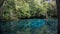 Beautiful view of the turquoise crystal clear waters of the lagoon of Ginnie Springs, Florida. USA