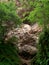 A beautiful view of an unusual mountain shape and sand-colored stones, partially covered by trees with green foliage.