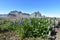 Beautiful view of the Vestrahorn Mountains with black sand in front near Hoefn in Iceland