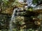 Beautiful view of waterfalls and lakes, amid rocks, tree trunks, vegetation and woods.