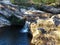 Beautiful view of waterfalls and lakes, amid rocks, tree trunks, vegetation and woods.