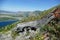 Beautiful view of wildflowers in Mount Saint Helens, Washington, US