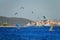 Beautiful view of windsurfers riding waves near the coast of Peljesac, Croatia.