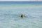 Beautiful view of women and her dog with ball swimming in sea. Greece.