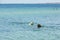 Beautiful view of women and her dog with ball swimming in sea. Greece.