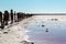 A beautiful view of a wooden fence, blue sky and pink lake.  Pink salt lake in Ukraine