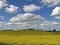 Beautiful view of yellow canola fields on spring at Cowra nsw.