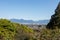 Beautiful viewpoint inside Queen Elizabeth Park in Vancouver, with majestic mountains serving as the