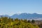 Beautiful viewpoint inside Queen Elizabeth Park in Vancouver, with majestic mountains serving as the