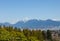 Beautiful viewpoint inside Queen Elizabeth Park in Vancouver, with majestic mountains serving as the