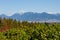 Beautiful viewpoint inside Queen Elizabeth Park in Vancouver, with majestic mountains serving as the