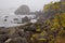 Beautiful views on Lost Coast Scenic Mattole Road in California