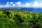 Beautiful views of Maui North coast seen from famous winding Road to Hana