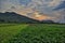Beautiful views of the sunset and the expanse of rice fields and mountains.