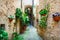 Beautiful village Spello (Umbria, Italy) with floral streets