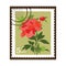 Beautiful Vinatge Flower Stamp