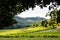 A beautiful vineyard in France with an old castle on the hill