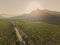 Beautiful vineyards in the mountains of Crimea. Aerial drone view.