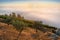 Beautiful vineyards in the Valley of the River Douro, Portugal, Portugal. Portuguese port wine. Terrace fields. Summer season.