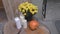 Beautiful vintage autumn still life with pumpkin and flowers