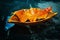 A beautiful vintage wooden boat with a yellowed autumn leaf floats in a puddle in the rain in the flooding and storm