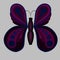 Beautiful violet butterfly