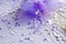 Beautiful Violet Wedding Decoration Stuff