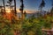 Beautiful Vista of Mount Hood in Oregon, USA.