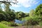 Beautiful vista of Mounts Botanical Gardens in Palm Beach, Florida, USA