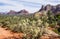 Beautiful Vistas of Sedona Arizona #8