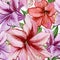 Beautiful vivid purple and red amaryllis flowers on white background. Seamless spring pattern. Watercolor painting.