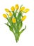 Beautiful vivid yellow tulips on long stems with green leaves in a bunch. Bouquet of spring flowers.