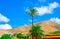 Beautiful volcanic landscape banner. Travel. Canary islands. Fuerteventura