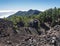 Beautiful volcanic landscape with lush green pine trees and colorful volcanoes along the path Ruta de los Volcanes