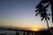 Beautiful Waikiki sunset silhouette Palm trees tropical amazing Beach waves Clouds blue sky