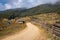 Beautiful walking trail on Phobjikha Valley, Wangdue Phodrang, Bhutan